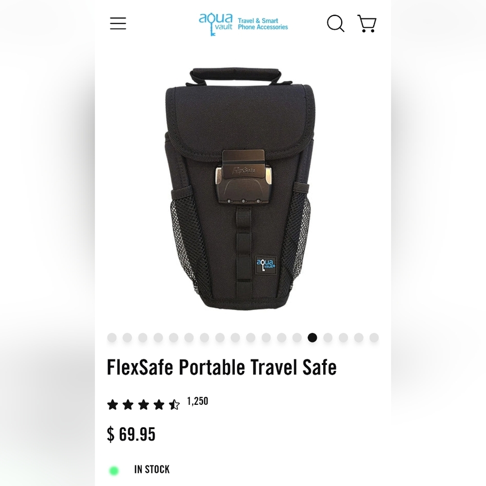 FlexSafe Anti Theft Portable Safe